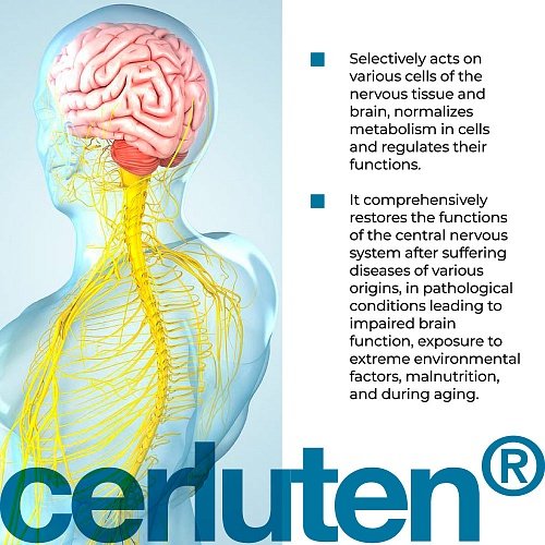 Cerluten Lingual - Khavinson Bioregulators and peptides for nervous system support (10 ml) - Image 2