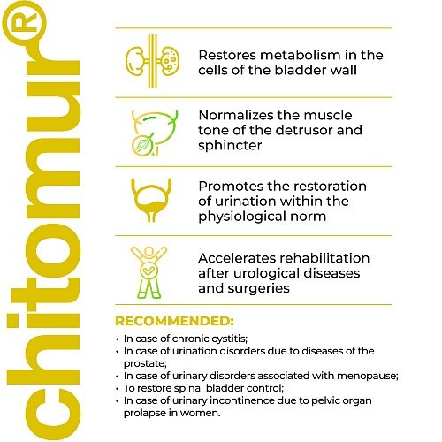 Chitomur Lingual – Peptide Complex for Urogenital Health | 10 ml – Havinson Bioregulators Peptides - Image 4