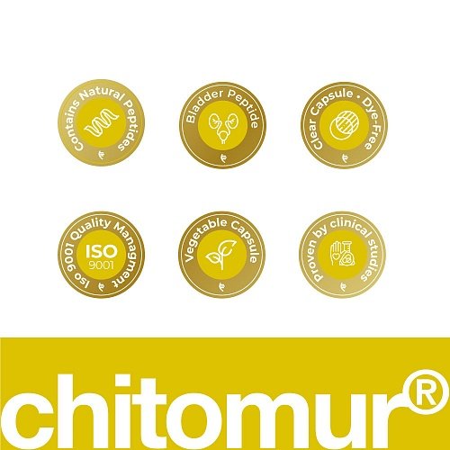 Chitomur Lingual – Peptide Complex for Urogenital Health | 10 ml – Havinson Bioregulators Peptides - Image 6