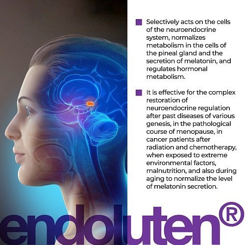 Endoluten - Hormone regulation and nervous system support - Image 5
