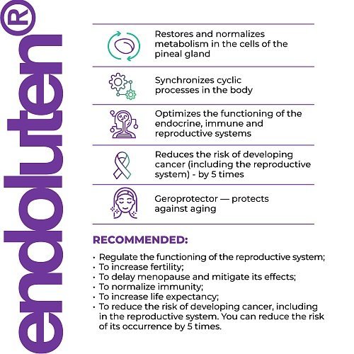 Endoluten - Hormone regulation and nervous system support - Image 6