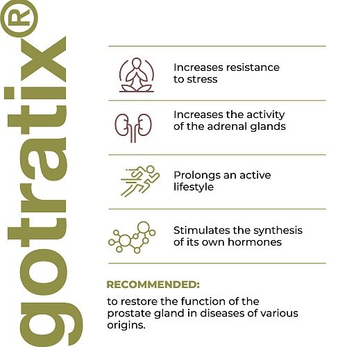 Gotratix Lingual – advanced peptide support for muscle health. - Image 4