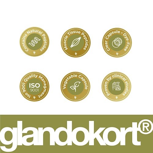 Gotratix Lingual – advanced peptide support for muscle health. - Image 6