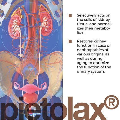 Pielotax Lingual – Havison Bioregulators | Peptides to support the kidneys and urinary system - Image 3