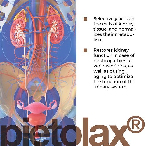 Pielotax – Peptide complex to support kidney and urinary system health (60 capsules) - Image 3
