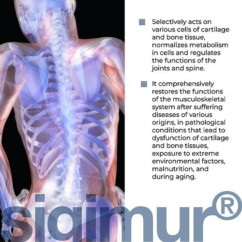 Sigumir - peptide complex to support the musculoskeletal system. - Image 3