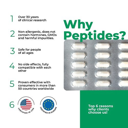 Ventfort – Peptide complex for cardiovascular protection – Havison bioregulators and peptides - Image 4