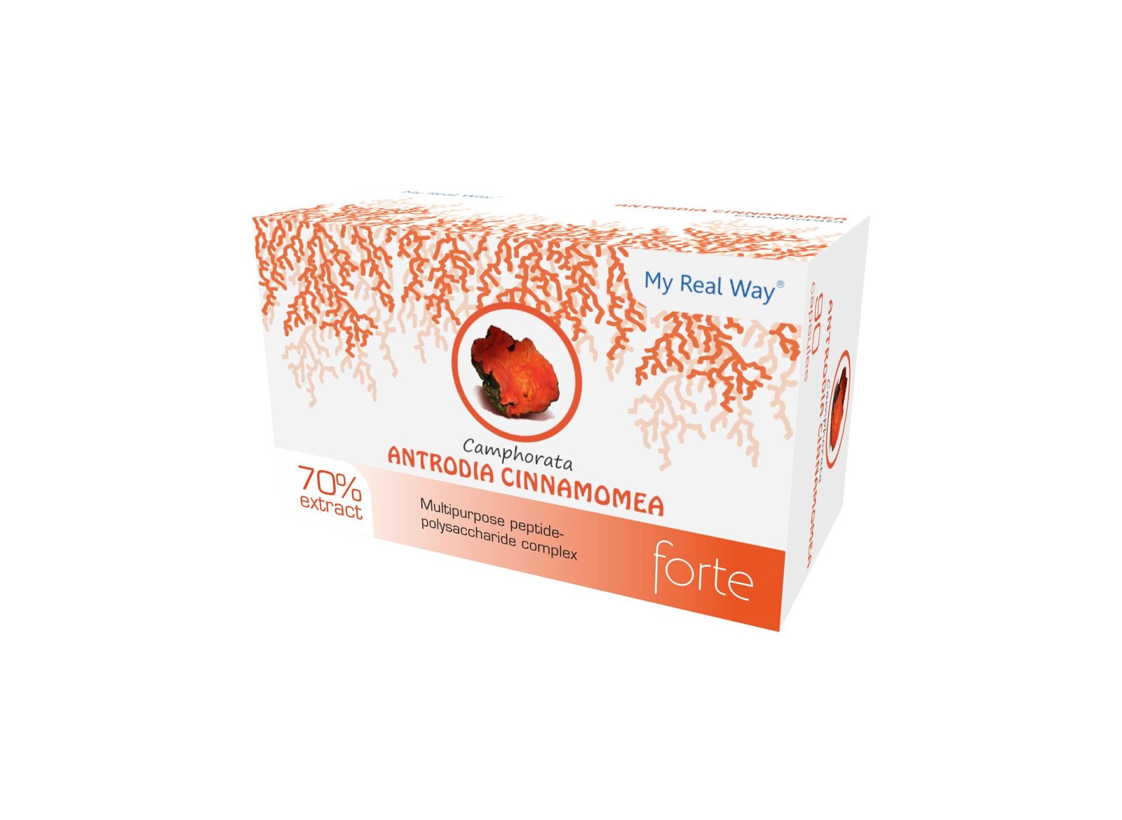 Antrodia Camphorata mushroom 70% peptide polysaccharide extract
